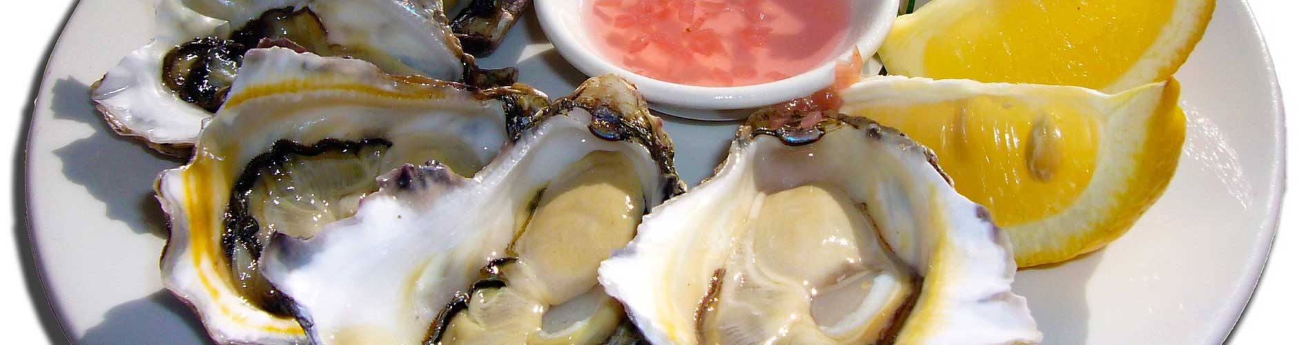 Oysters from the Arcachon Basin