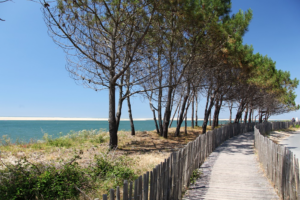 randonné bassin arcachon