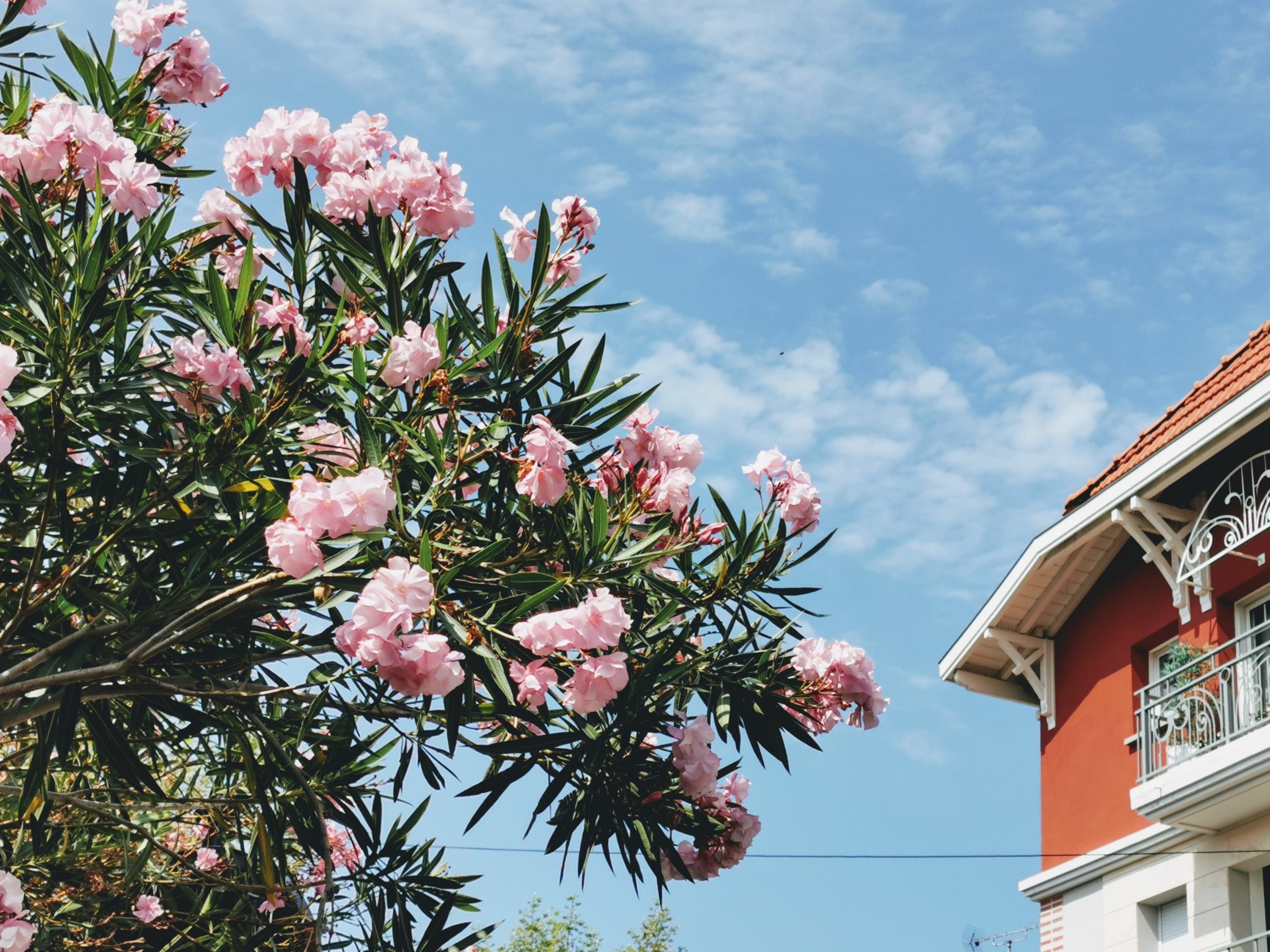 Discover the sublime villas of Arcachon