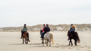 balade-equestre-camping-ecureuils-plage-groupe