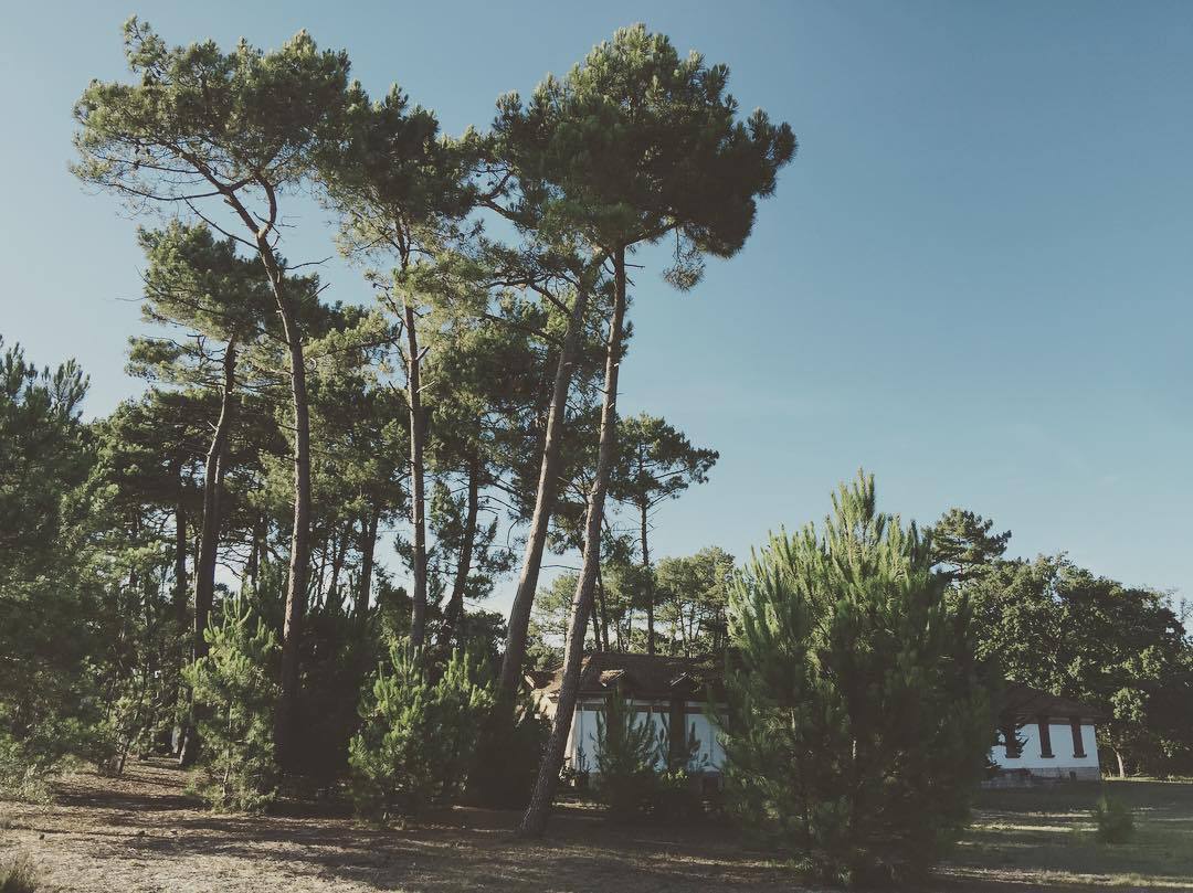 Aérium d’Arès