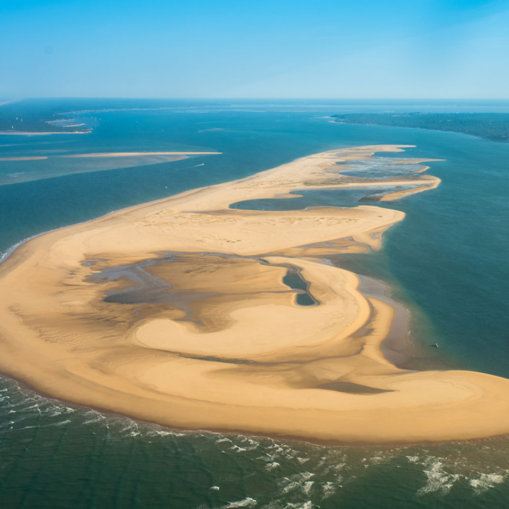 banc d'arguin du bassin d'arcachon