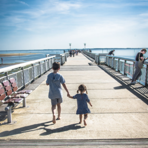 faire découvrir le bassin d'arcachon aux enfants