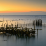 Les endroits insolites autour du Bassin d’Arcachon 