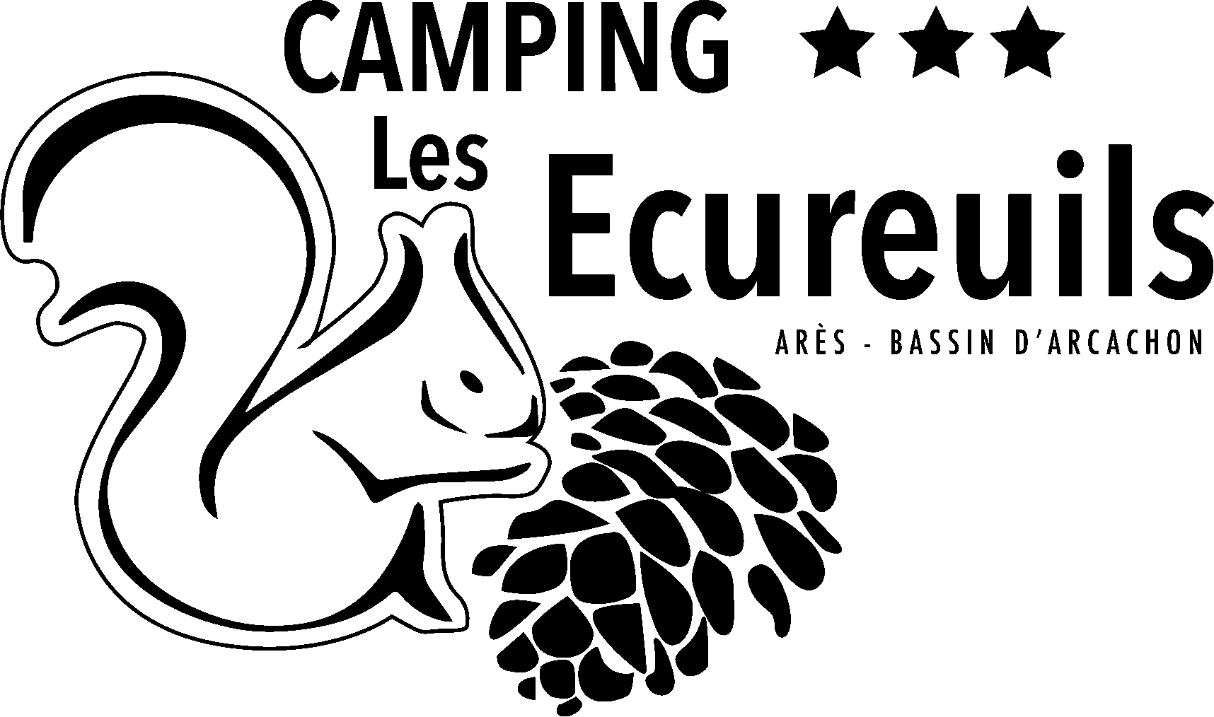 cropped Logo noir ampingLesEcureuils avec mention ares arcachon.png