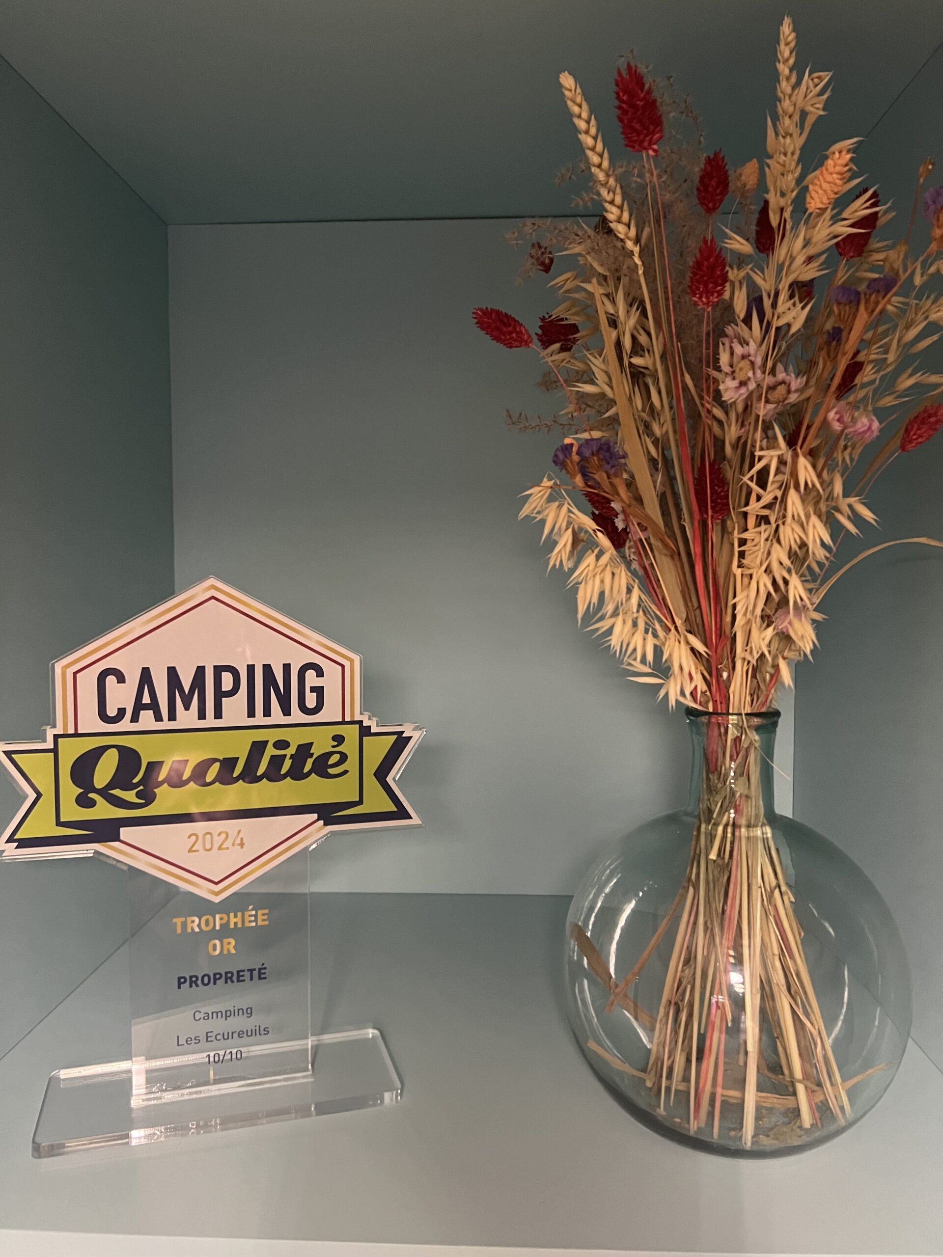 CQ Trophy