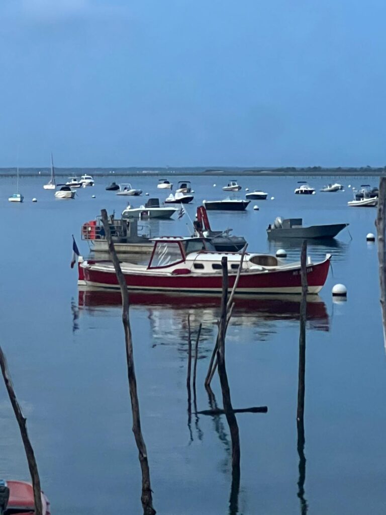 IMG 20241107 WA0254