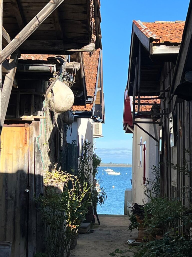 IMG 20241107 WA0423