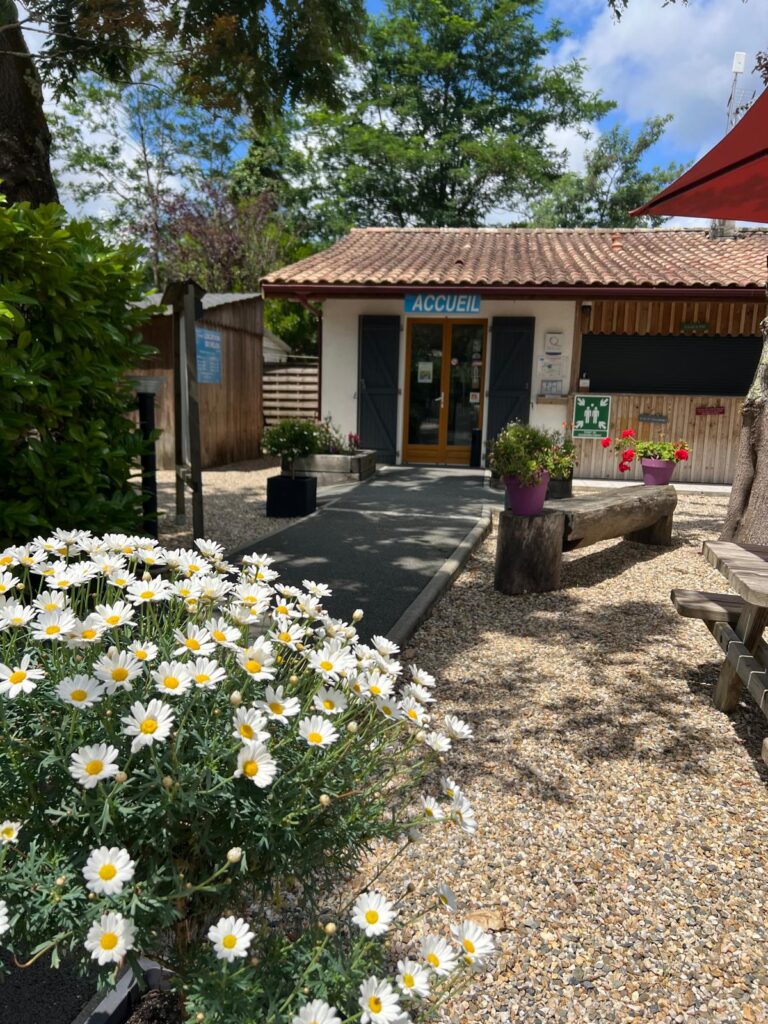 Végétalisation camping 7